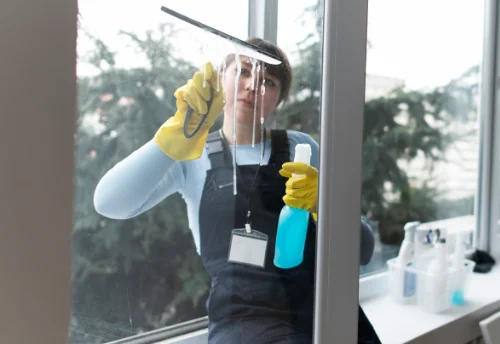 Nettoyage de vitres intérieures et extérieures à Plomion